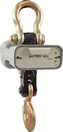 Весы CAS 0.5 THА (Caston 1) купить по низкой цене | МАКСПРОФИТ